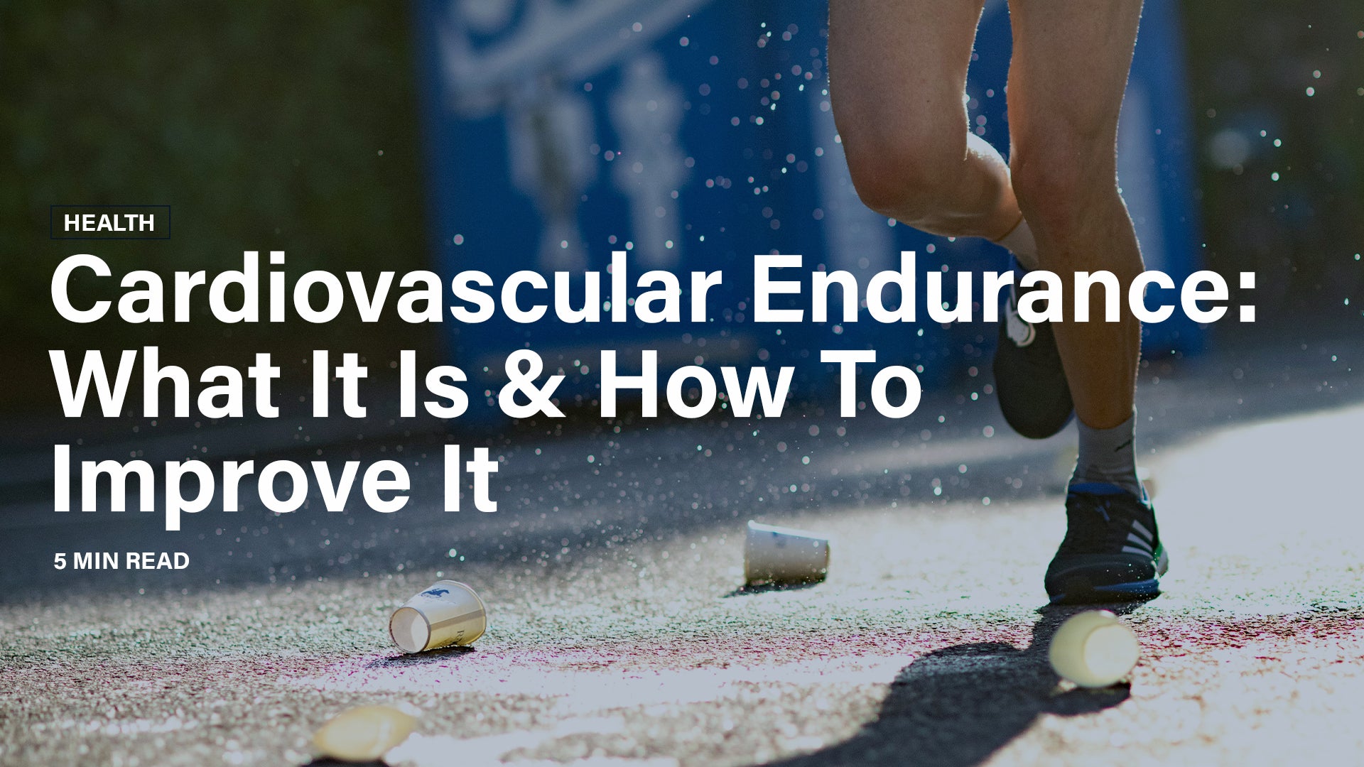 Cardiovascular Endurance: What It Is & How To Improve It