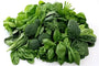 Molybdenum (from MWO VerdeMins plant-based matrix)