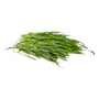 Wheatgrass (Triticum aestivum, whole)