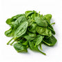 Riboflavin (Vitamin B2, glycoprotein matrix)