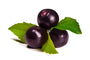 Acai Fruit (Euterpe oleracea)