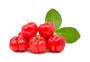 Acerola Cherry Extract (Malpighia emarginata)