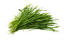 Barley Grass (Hordeum vulgare, whole)