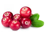 Cranberry Fruit (Vaccinium macrocarpon)