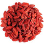 Goji Berry Fruit (Lycium barbarum)