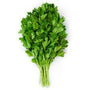 Parsley (Petroselinum crispum)