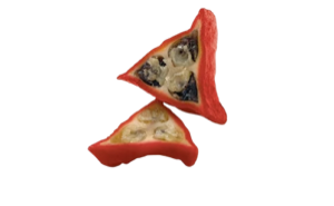 Zinc